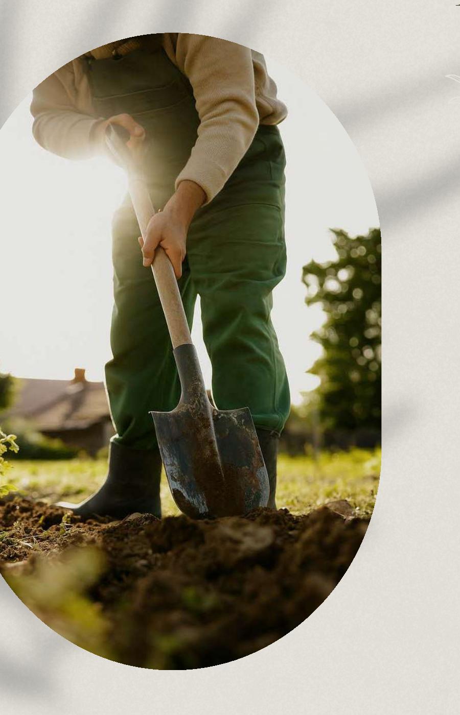 Healing begins in the soil